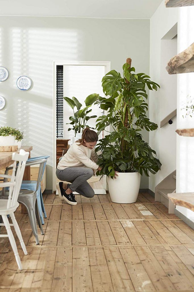 Maceta Brussels Elho sobre olla de plástico Ø 20 cm habitación plantas indoor 
